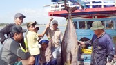 Thủy sản nguy cơ bị cấm xuất khẩu vào EU Thủy sản nguy cơ bị cấm xuất khẩu vào EU