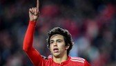 Joao Felix (Benfica)