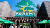 Vinpearl Safari Phú Quốc: Trải nghiệm “Tết mới”, gắn kết thiên nhiên Vinpearl Safari Phú Quốc: Trải nghiệm “Tết mới”, gắn kết thiên nhiên