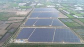 Xung lực mới thị trường điện mặt trời Xung lực mới thị trường điện mặt trời