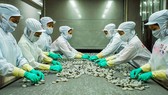 Cổ phiếu thủy sản bị vạ lây Cổ phiếu thủy sản bị vạ lây