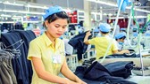 Cổ phiếu ngành đón sóng EVFTA Cổ phiếu ngành đón sóng EVFTA