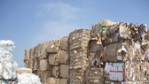 Sản xuất giấy phụ thuộc khá lớn vào phế liệu nhập khẩu