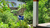 Hiện trường vụ việc