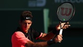 Juan Martin del Potro đã có 13 trận thắng liên tiếp