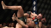Khả năng sẽ có trận tái chiến giữa Khabib và Conor trong năm 2019 này