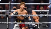 Naoya Inoue trong trận thắng Juan Carlos Payano