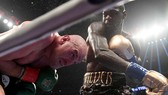 Wilder ra đòn với Fury trong trận đấu "bất phân thắng bại" hồi cuối năm ngoái