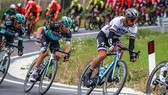 Mặc chiếc áo 7 sắc cầu vòng dành cho nhà VĐTG, Sagan vẫn thua tan nát ở Tirreno-Adriatico