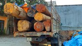 Bắt thêm xe chở gỗ lậu từ “cổng trời” Đắk Long