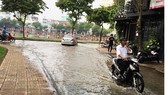 Lũ đầu nguồn vượt báo động 1, Cần Thơ xuất hiện triều cường sớm