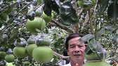 Nhộn nhịp ngày hội Tam nông và sản phẩm làng nghề năm 2019 ở Hậu Giang