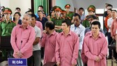 Phá rừng quy mô lớn, 9 bị cáo bị phạt 81 năm tù, buộc bồi thường 4,7 tỷ đồng