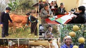 Vốn tín dụng chính sách đã giúp 4,5 triệu hộ dân thoát nghèo. Ảnh: Ngân hàng CSXH