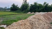 Một phần khác của 20 lô đất đã đổ đất thành đống. Ảnh: MINH PHONG