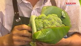 Các cửa hàng, siêu thị ở TPHCM hưởng ứng dùng lá chuối thay thế túi nilon