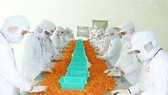 ĐBSCL là vùng sản xuất và xuất khẩu nông thủy sản chủ lực nhưng việc liên kết còn hạn chế