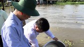 Thả hàng chục ngàn con giống xuống sông Cái Lớn