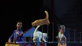 Tìm kiếm tài năng xiếc toàn quốc 2018