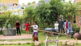 Khám phá văn hóa Việt qua những món ăn dân dã truyền thống