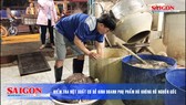 Điểm tin SGGP Online ngày 19.01.2019