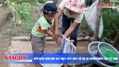 Điểm tin SGGP Online ngày 30.01.2019