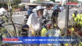 Điểm tin SGGP Online ngày 03.02.2019