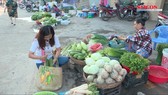 Đi chợ với giỏ đệm “thời trang”, giải pháp mới bảo vệ môi trường