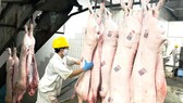 Kế hoạch dài hơi cho nguồn cung thịt heo