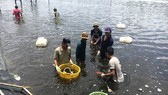 22 đơn vị hỗ trợ huyện Cần Giờ xây dựng nông thôn mới