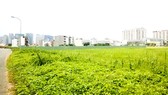 Quy hoạch mỗi nơi một kiểu Quy hoạch mỗi nơi một kiểu
