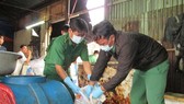 動物產品浸泡化學劑的行徑將被罰款2000萬至2500萬元。
