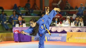 Võ sĩ đoàn Việt Nam biểu diễn quyền tại giải.