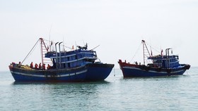 Thí điểm đưa doanh nghiệp, ngư dân đi khai thác hải sản ở vùng biển một số nước