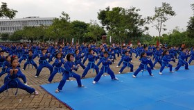 Học sinh, sinh viên trình diễn võ