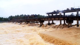 Lũ cuồn cuộn trên sông tại huyện Hoài Nhơn. Ảnh: QUANG HẢI