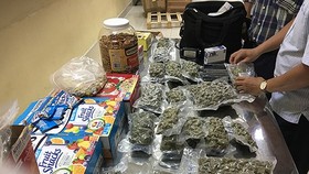 Four kilogram cannabis detected in Tan Son Nhat Airport