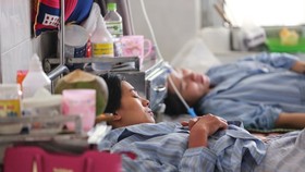 Dong Nai province has recorded more than 3,000 dengue fever cases since early 2018. (Photo: VNA)