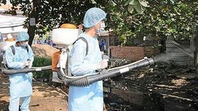 Peak season of dengue appears in Mekong delta