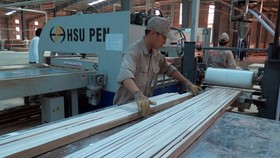 At a wood processing factory (Source: VNA)