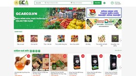 Fruit, vegetables virtual market launched