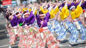Yosakoi dance performance at Japanese cultural festival in Hanoi (Source: organising board)