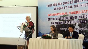 First consultation workshop on Vietnam’s national marine plastic action plan