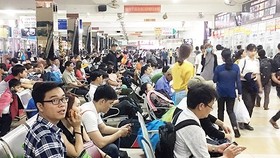 Not raise bus fare prices during Tet holidays: HCMC Transport Department