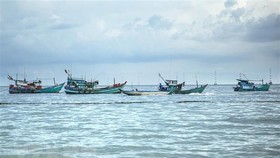 (Illustrative photo:VNA)