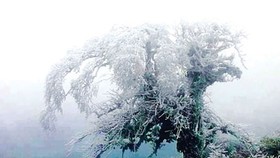 Ice and snow blanket are warned to occur in northern mountaintop