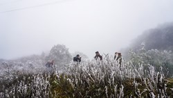 Damaged cold to hit north from December 9