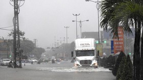 High rainfall pours Da Nang city