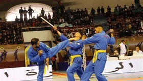 Vovinam athletes are competing (Photo: VNA)