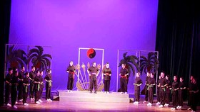 Liên hoan nghệ thuật sân khấu chuyên nghiệp toàn quốc